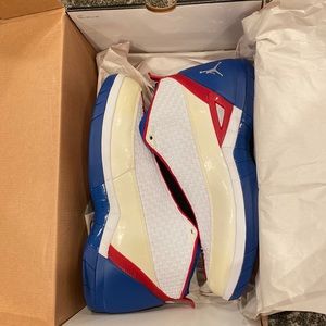 Air Jordan 15 SE team USA